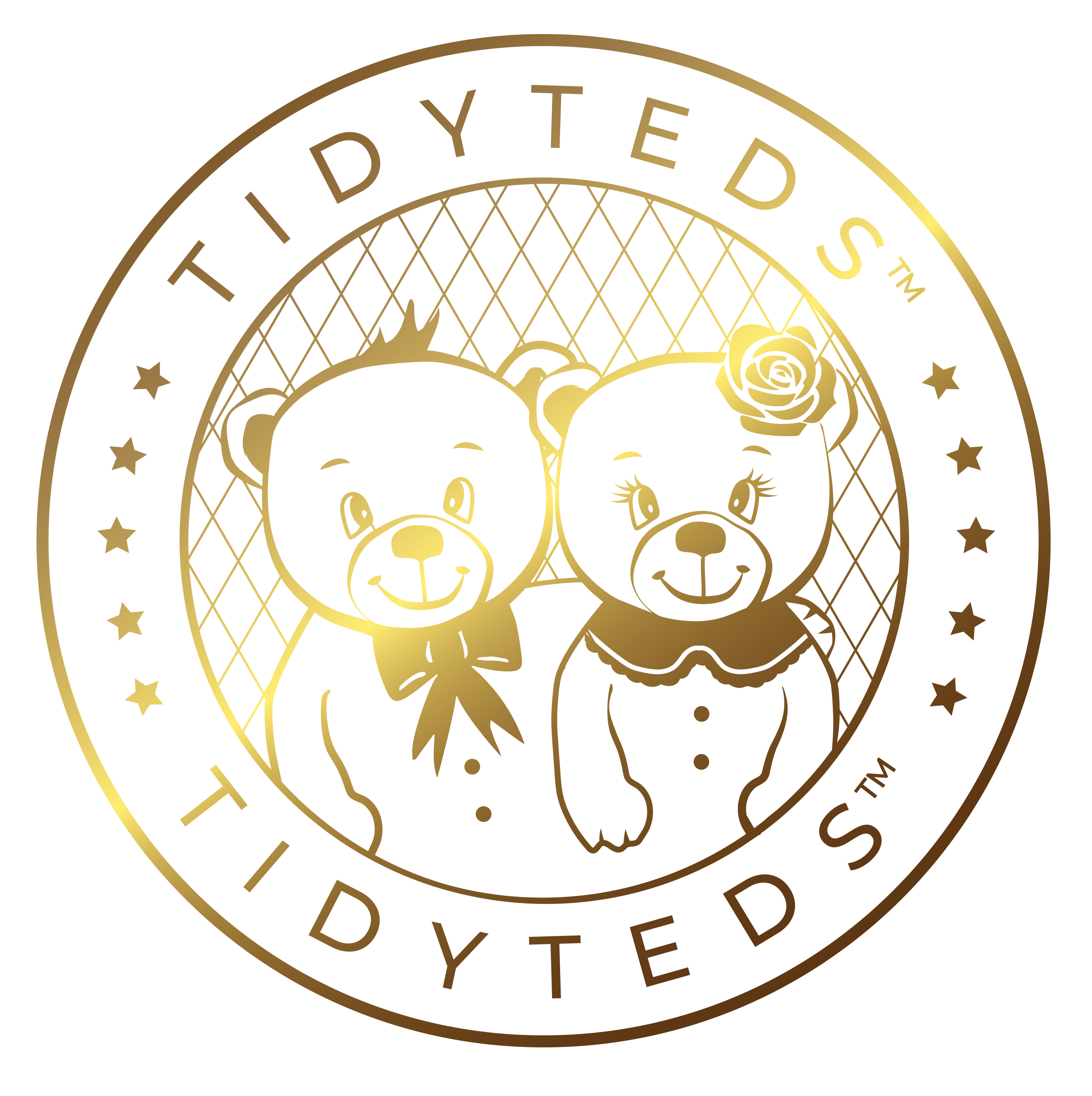 TidyTeds logo